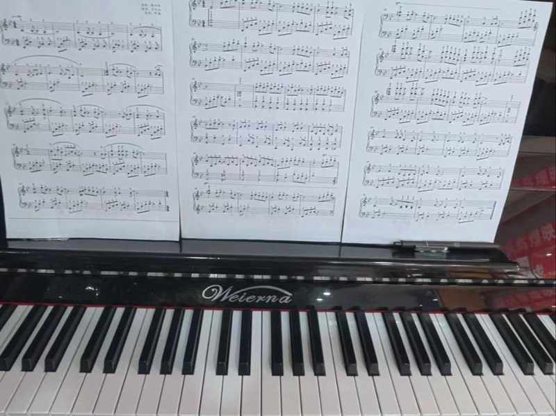  《钢琴租赁核心技术指标：内行用这套筛选逻辑，找出沈阳最优琴源》 新闻