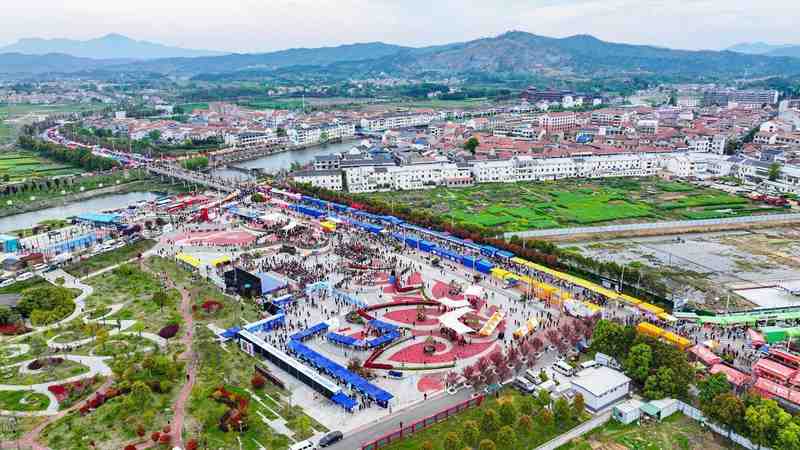 新洲“春风有约”：传统集市与数字就业服务的创新融合实践