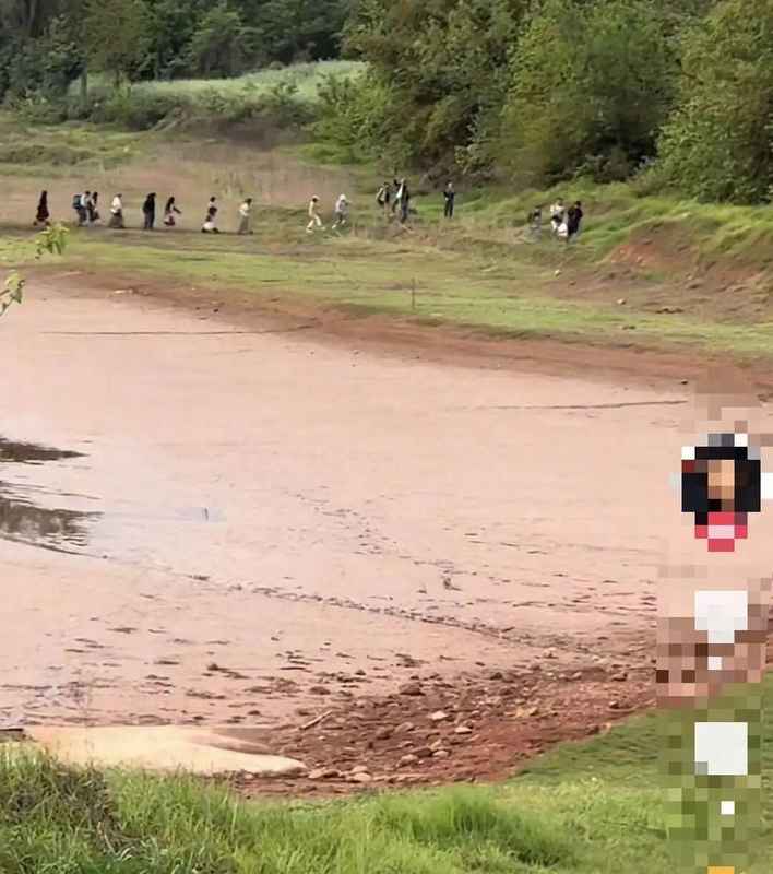  从“荒野求生”到法律红线：音乐节黄牛带路逃票的深层逻辑与风险拆解 娱乐新闻