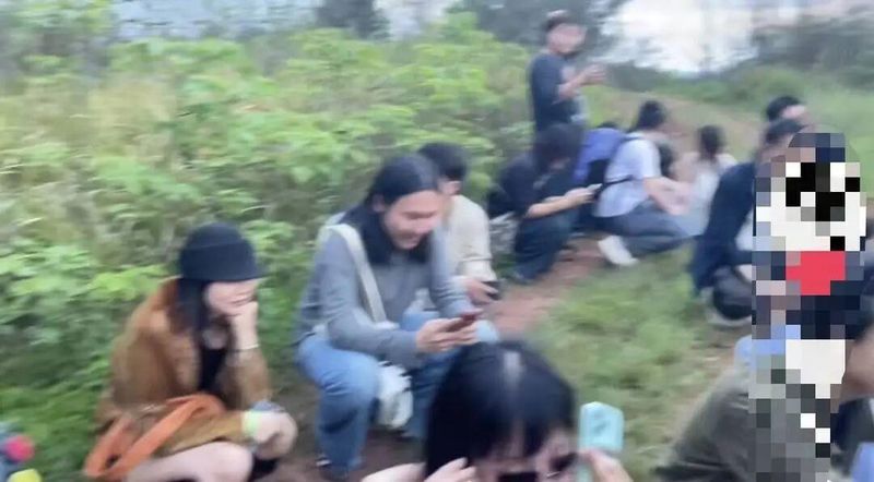 从“荒野求生”到法律红线：音乐节黄牛带路逃票的深层逻辑与风险拆解 娱乐新闻