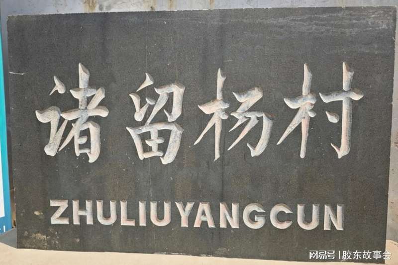  「胶东姓氏文献考：福山杨氏墓志铭的史学价值与家族源流」 新闻