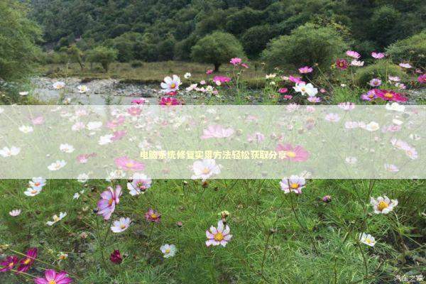 电脑系统修复实用方法轻松获取分享 新闻