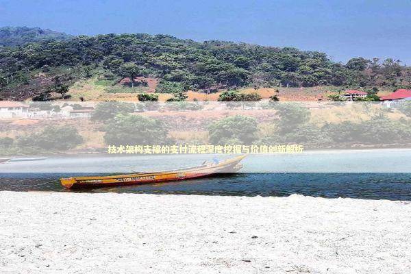 技术架构支撑的支付流程深度挖掘与价值创新解析