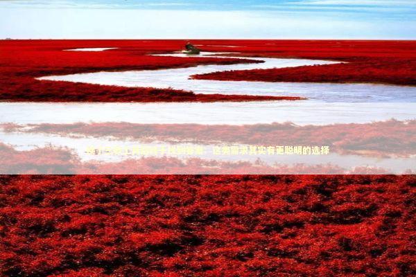 换了三款工具后终于找到答案：这类需求其实有更聪明的选择