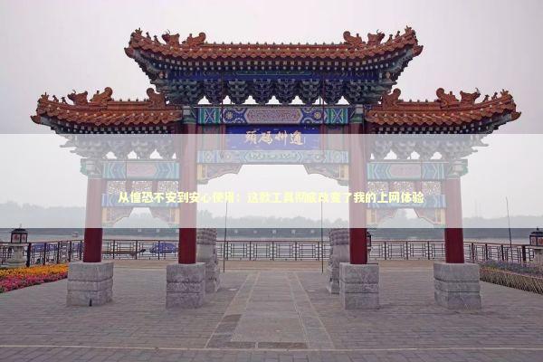 从惶恐不安到安心使用：这款工具彻底改变了我的上网体验