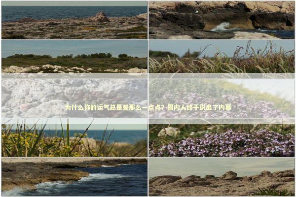 为什么你的运气总是差那么一点点？圈内人终于说出了内幕 企业服务