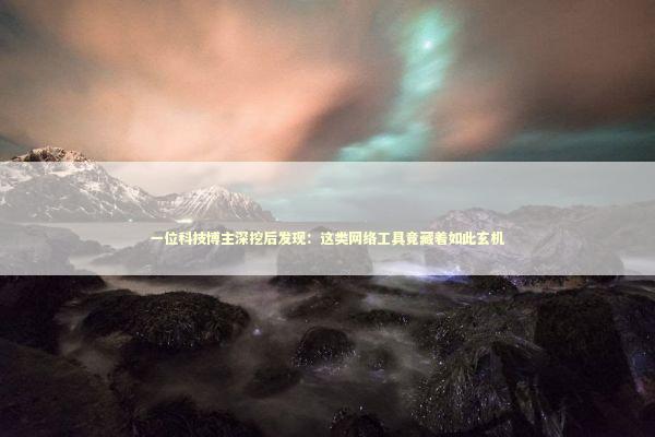 一位科技博主深挖后发现：这类网络工具竟藏着如此玄机